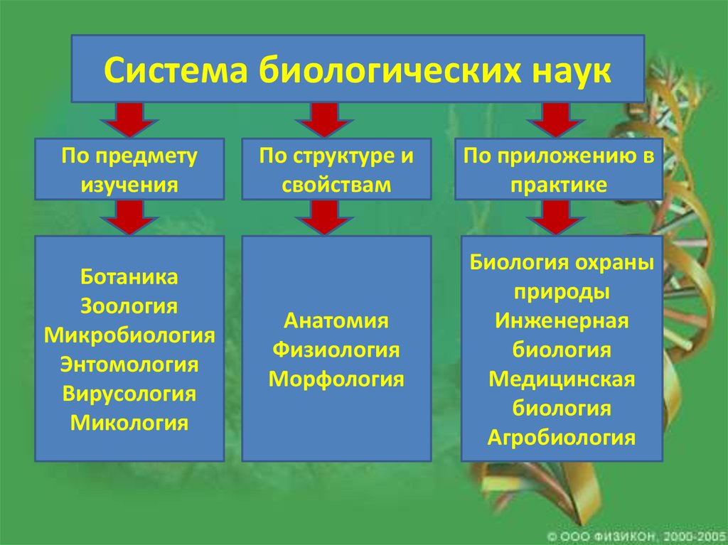 Биология в системе наук презентация 10 класс