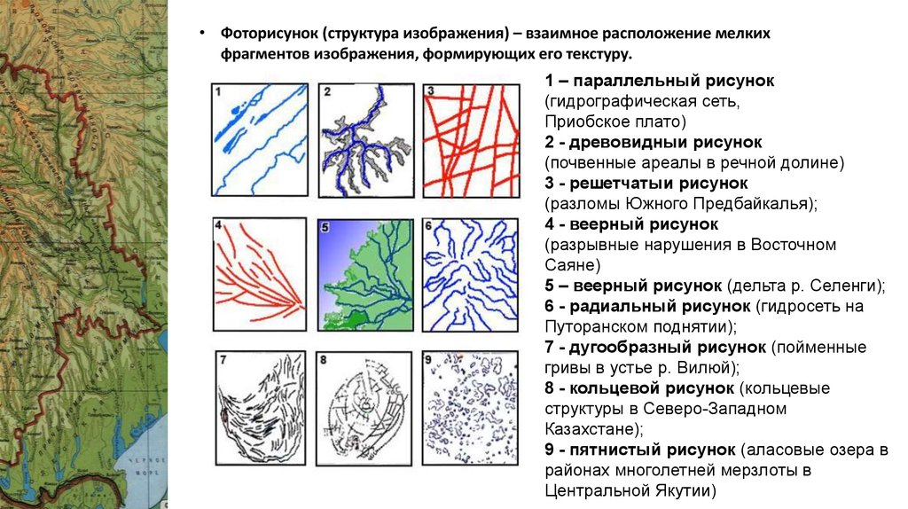 почвенный ареал