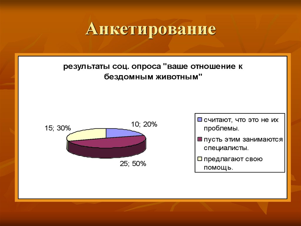 Анкетирование по проекту бездомные животные