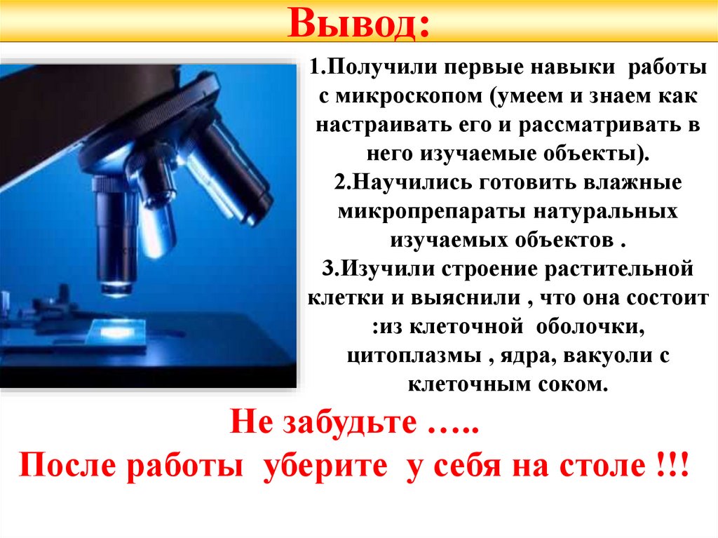 Лабораторная по биологии 5 класс микроскоп. Вывод работы с микроскопом. Вывод микроскопа. Вывод лабораторной работы с микроскопом. Лабораторная работа микроскоп.