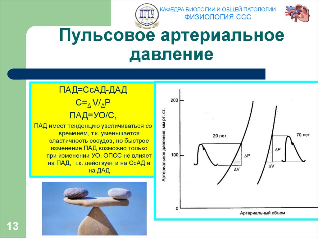 Пульсовое артериальное давление