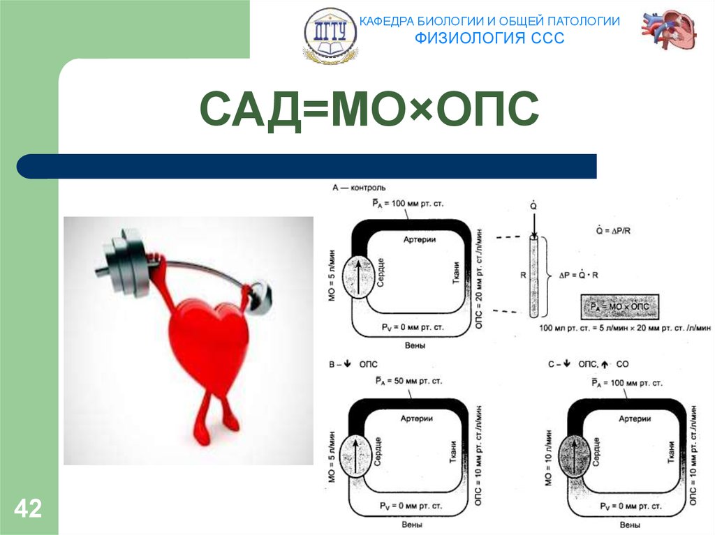 САД=МО×ОПС