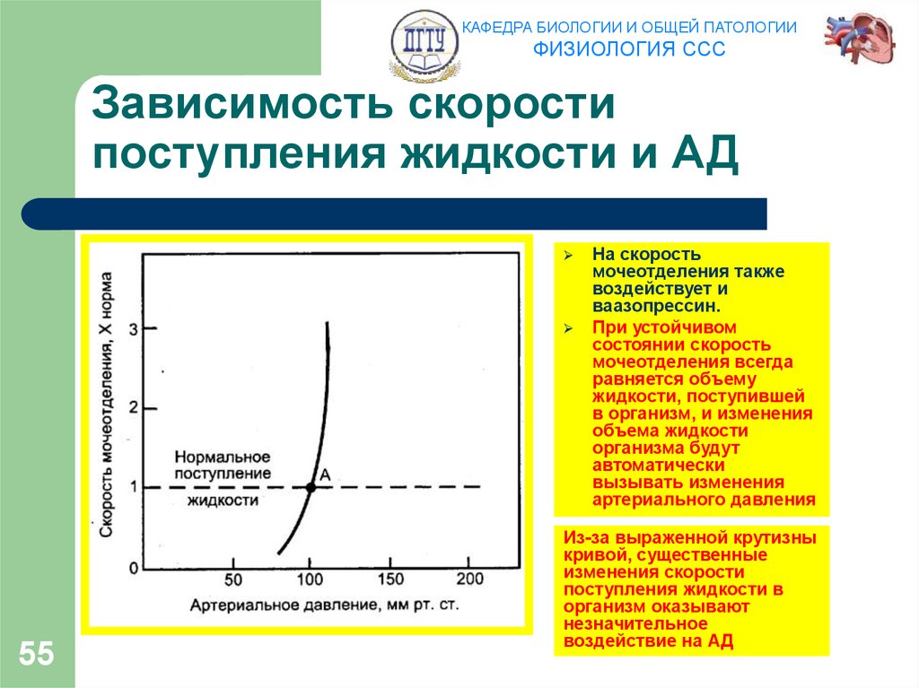 Зависимость скорости поступления жидкости и АД