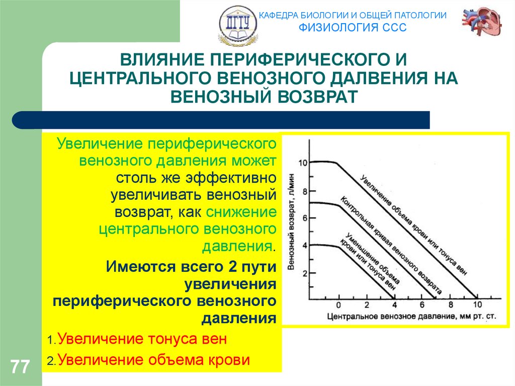 ВЛИЯНИЕ ПЕРИФЕРИЧЕСКОГО И ЦЕНТРАЛЬНОГО ВЕНОЗНОГО ДАЛВЕНИЯ НА ВЕНОЗНЫЙ ВОЗВРАТ