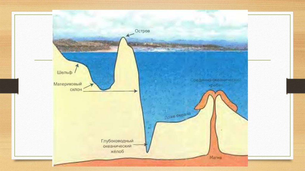 Части дна океана. Схема строения океанического дна. Шельф рельефа дна. Рельеф дна морского океана схема. Материковый склон мирового океана.