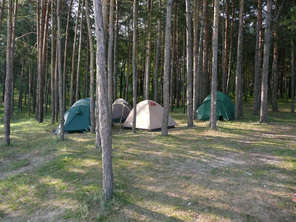 Организация палаточного лагеря. Поляна Таулу палаточный лагерь. Россонь палаточный лагерь. Архыз палаточный лагерь. Селигер турпоходы.