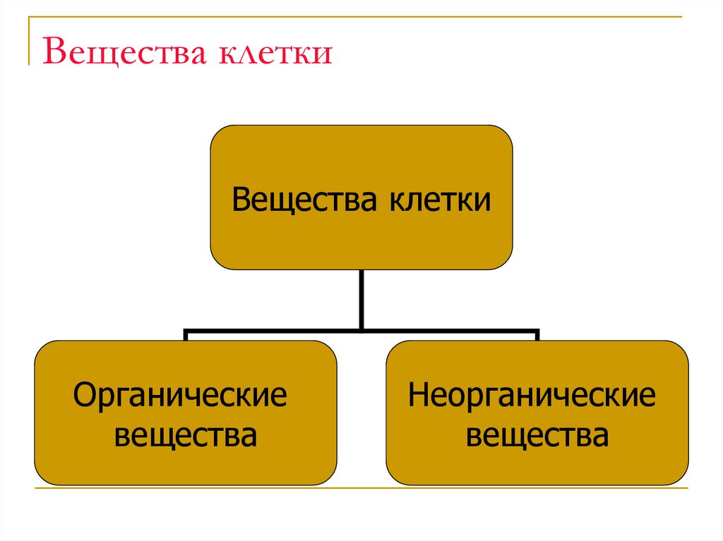 4 органические вещества клетки. Схема органические и неорганические вещества клетки. Схема вещества клетки. Органические вещества клетки схема. Составьте схему вещества клетки.