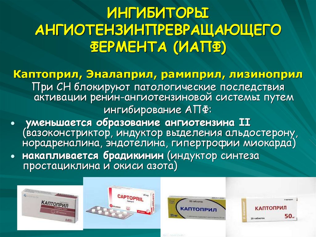 Клиническая фармакология антимикробных препаратов презентация