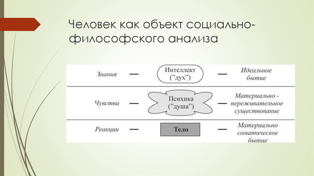 Общество и познание философия