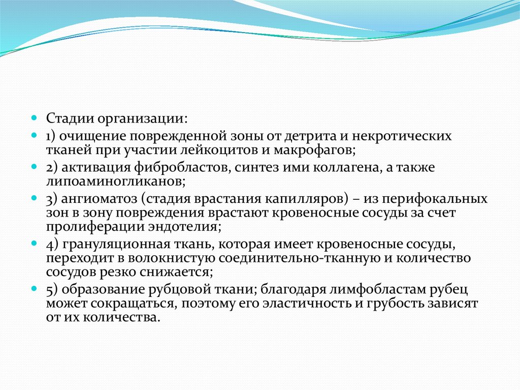 Структурные основы адаптации и компенсации нарушенных функций руководство