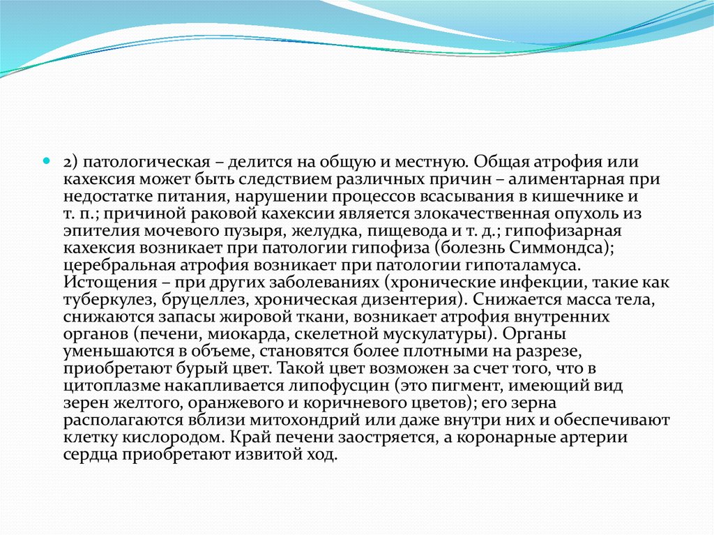 Структурные основы адаптации и компенсации нарушенных функций руководство