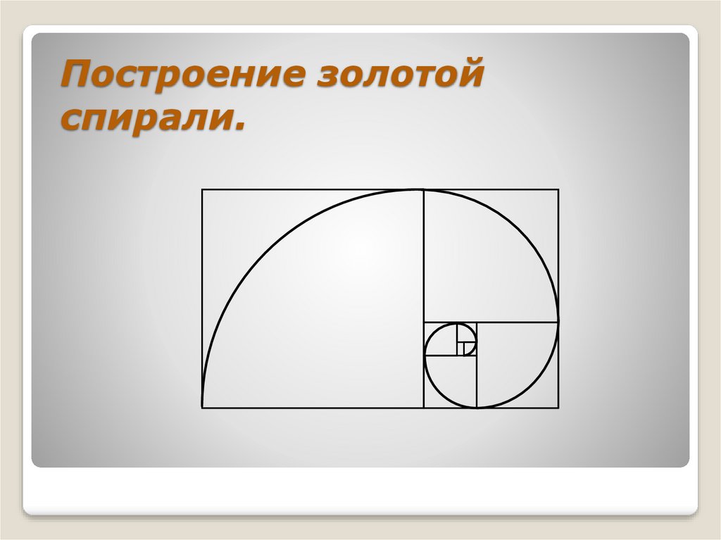 Гармония золотого сечения проект