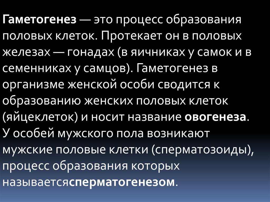 Половые клетки человека, хромосомы, оплодотворение — статья МЦРМ