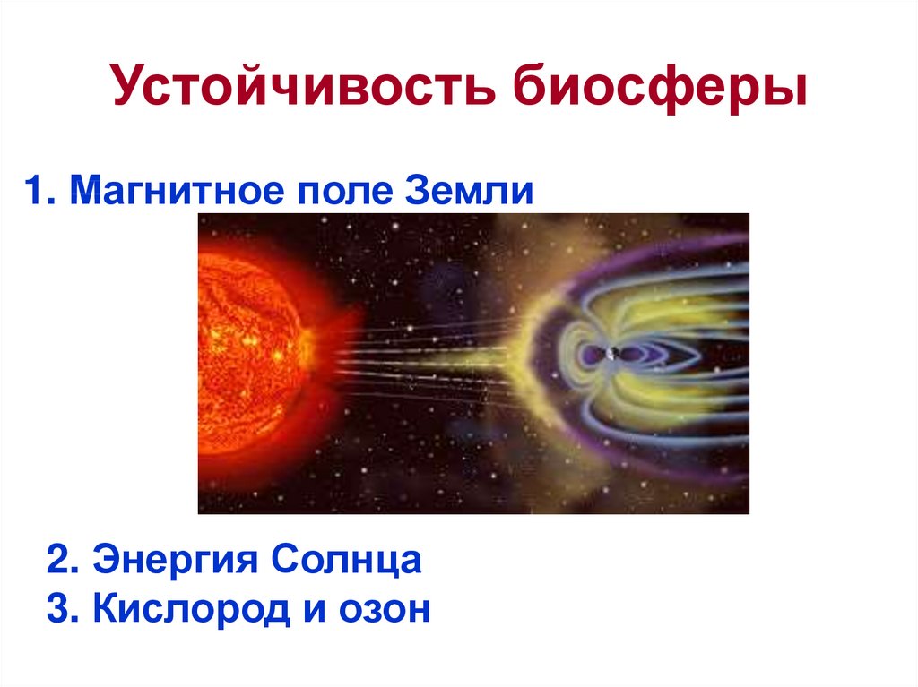 Устойчивость биосферы. Электромагнитное поле земли и энергия солнца. Электромагнитные поля пронизывают биосферу земли.