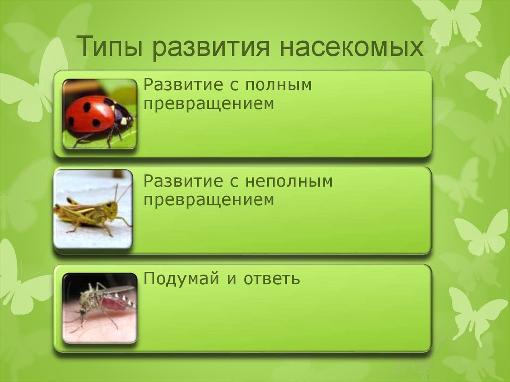 Приложение для определения насекомых по фото на русском языке бесплатно