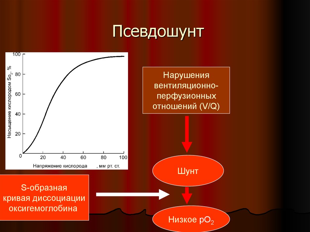 Нарушение вентиляционно-перфузионных отношений. Кривая диссоциации оксигемоглобина при гипоксии. Вентиляционно-перфузионного отношения. Перфузионная дыхательная недостаточность.