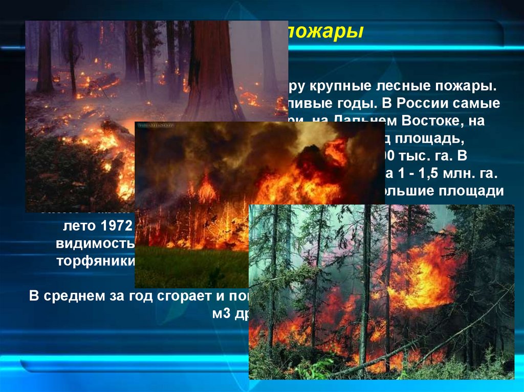 Загрязнение воздуха пожары. Самые крупные Лесные пожары. Загрязнение воздуха лесными пожарами. Самые большие пожары лесов. Крупные Лесные пожары в России.
