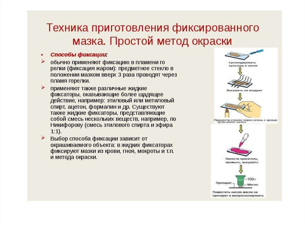 Основное фиксирующее вещество без которого невозможен процесс фиксации изображения