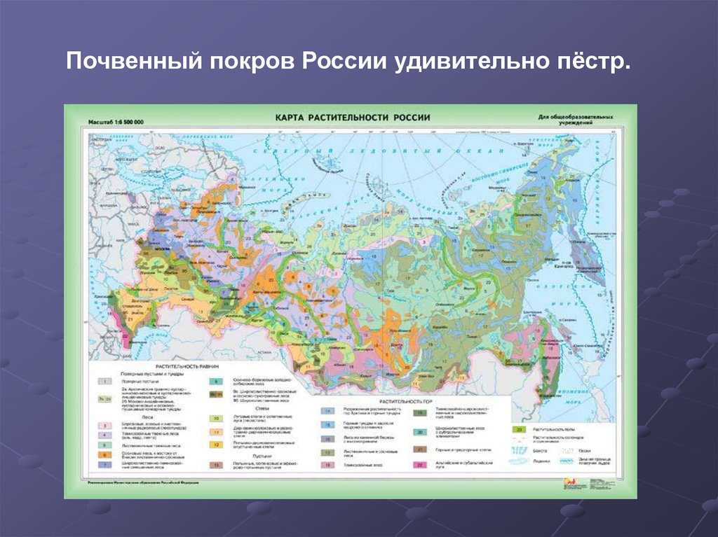 Почвенно растительные зоны. Карта растительности России 8 класс. Атлас растительности России. Атлас 8 класс растительность. Атлас 8 класс география растительность.