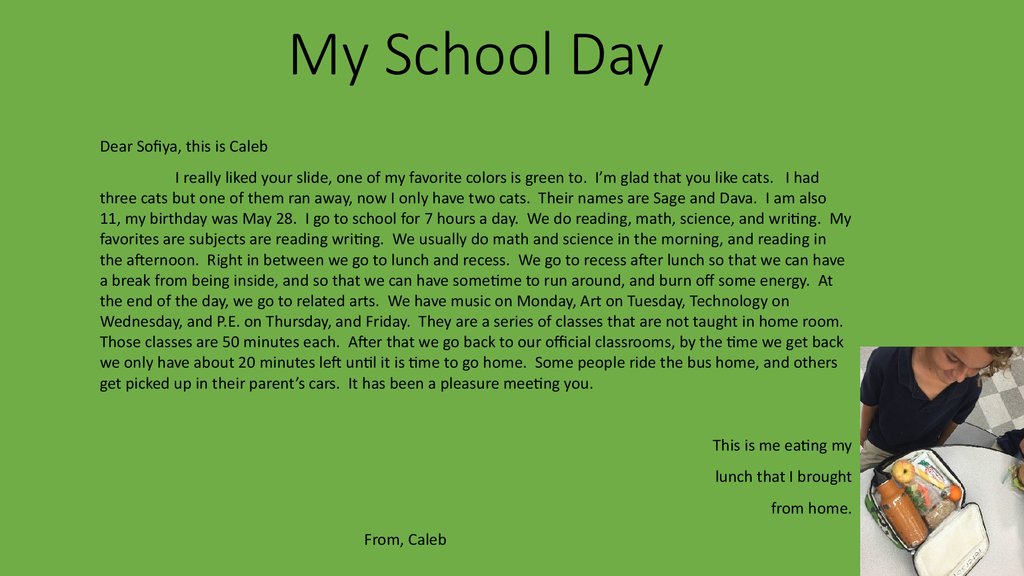 My School Day