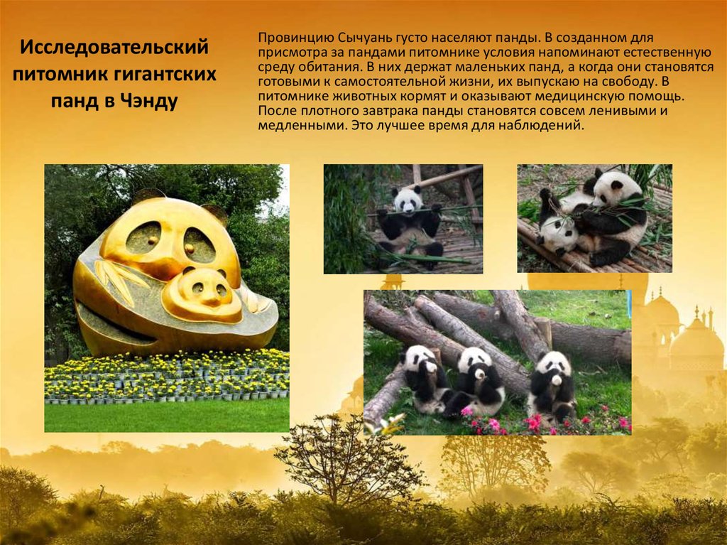 Исследовательский питомник гигантских панд в Чэнду