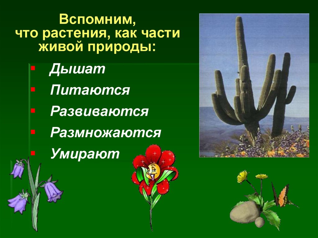 Размножение растений 3 класс окружающий. Растения часть живой природы. Размножение и развитие растений. Растения часть живой природы 3 класс. Как размножаются и развиваются растения.