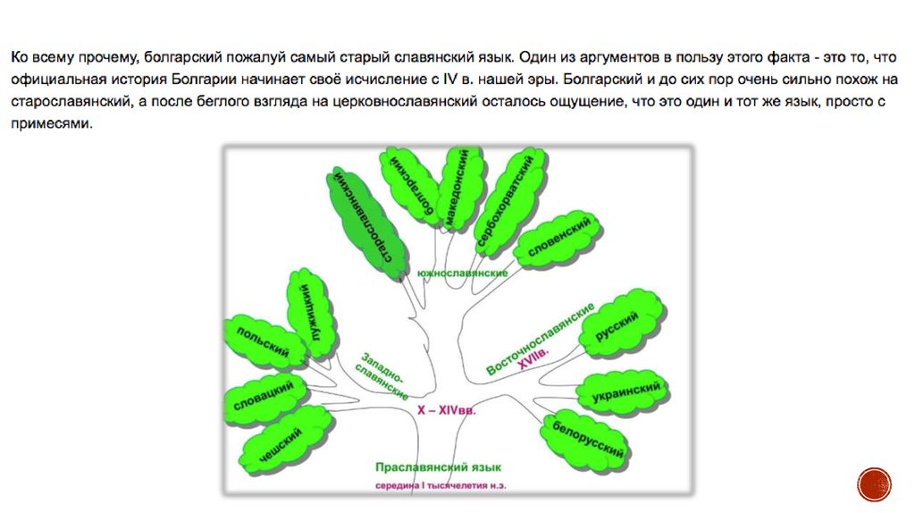 Болгарский язык презентация