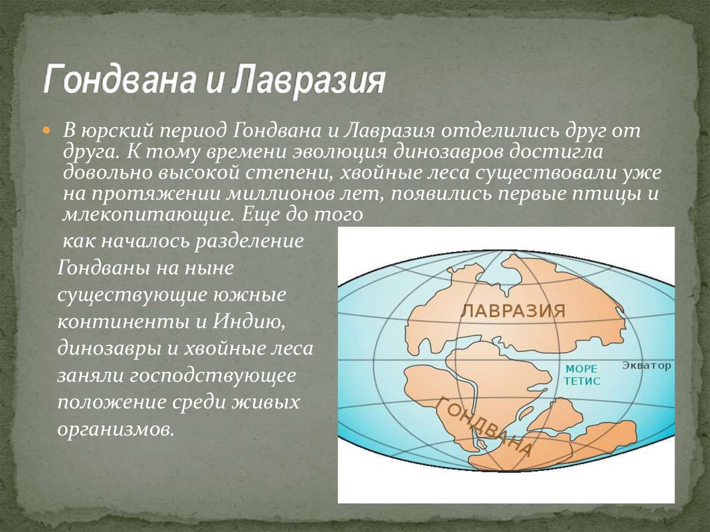 Презентация эволюция биосферы 9 класс пасечник