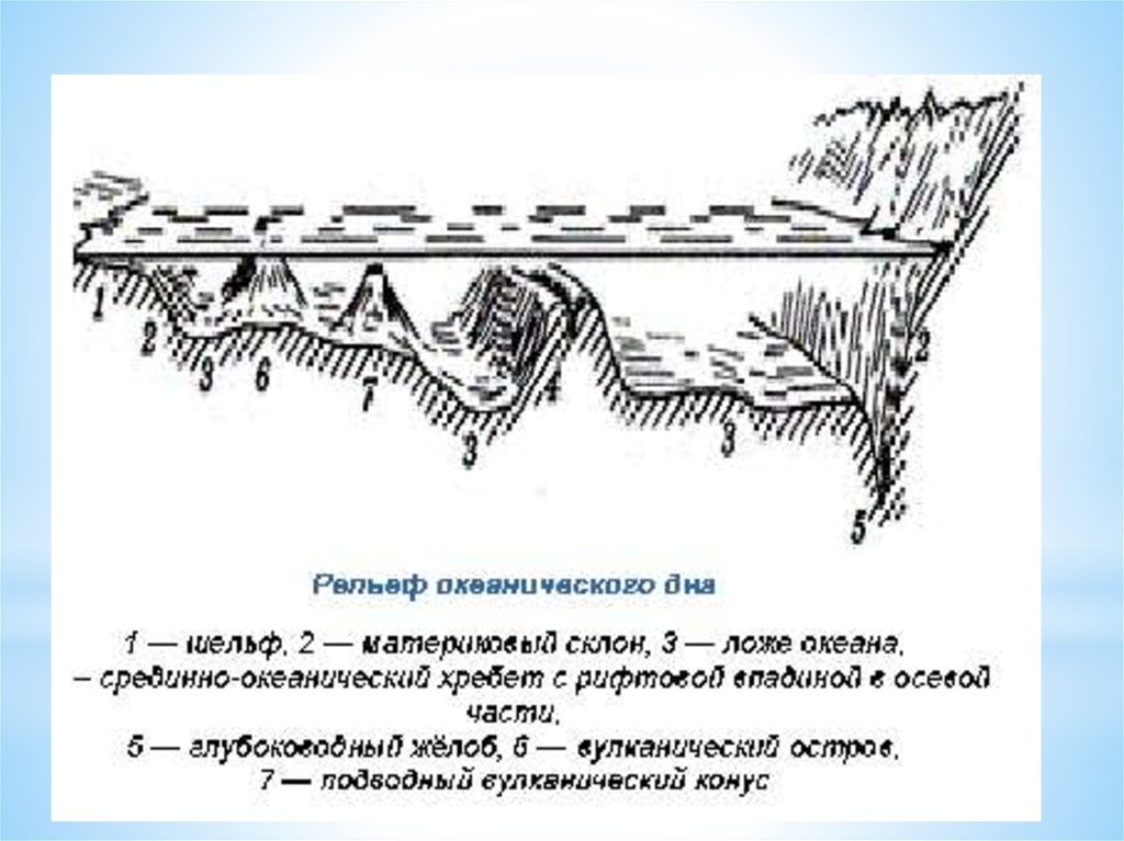 Часть рельефа дна океана рисунок 6 класс