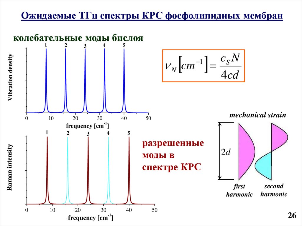 Спектр кр. Комбинационное рассеяние света спектр. Спектроскопия комбинационного рассеяния. Схема прибора для комбинационного рассеяния. Спектроскопия комбинационного рассеяния света.