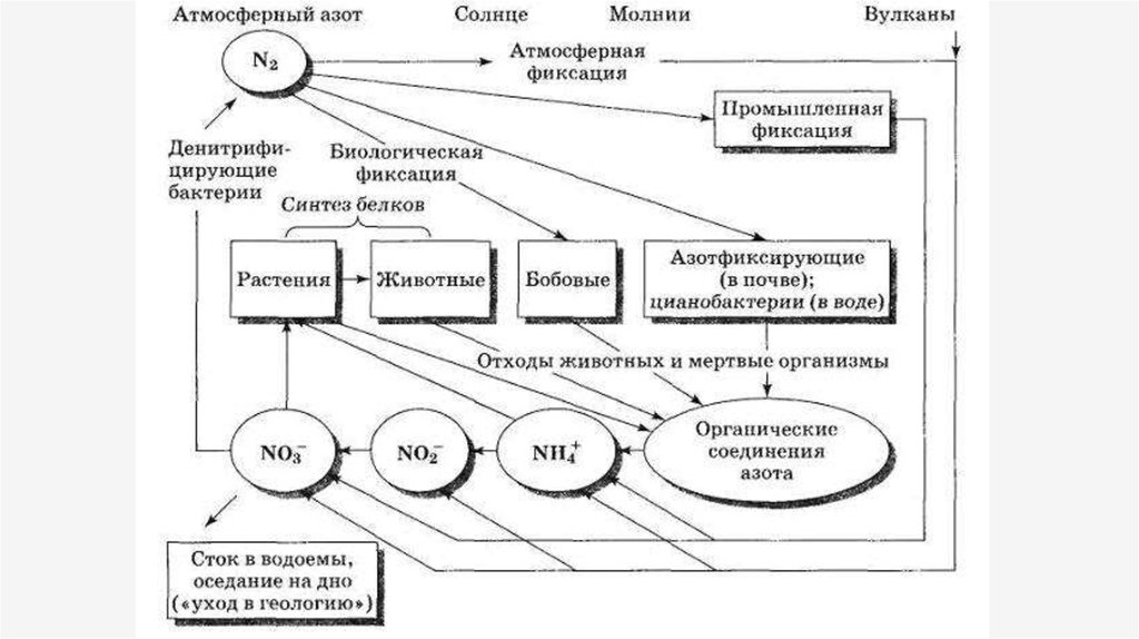 Заполните схему применение углерода