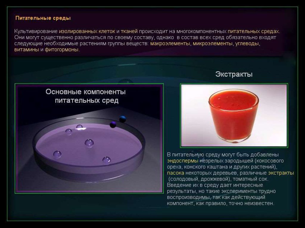 Презентация культивирование клеток