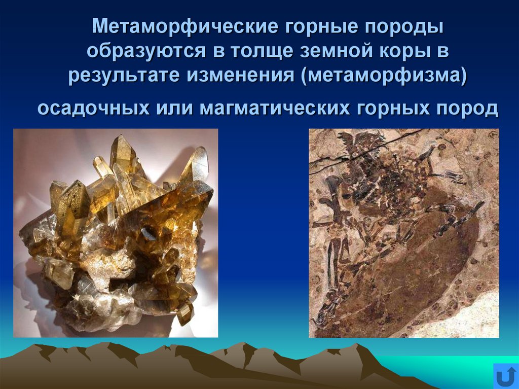 Метаморфические горные породы образуются в толще земной коры в результате изменения (метаморфизма) осадочных или магматических