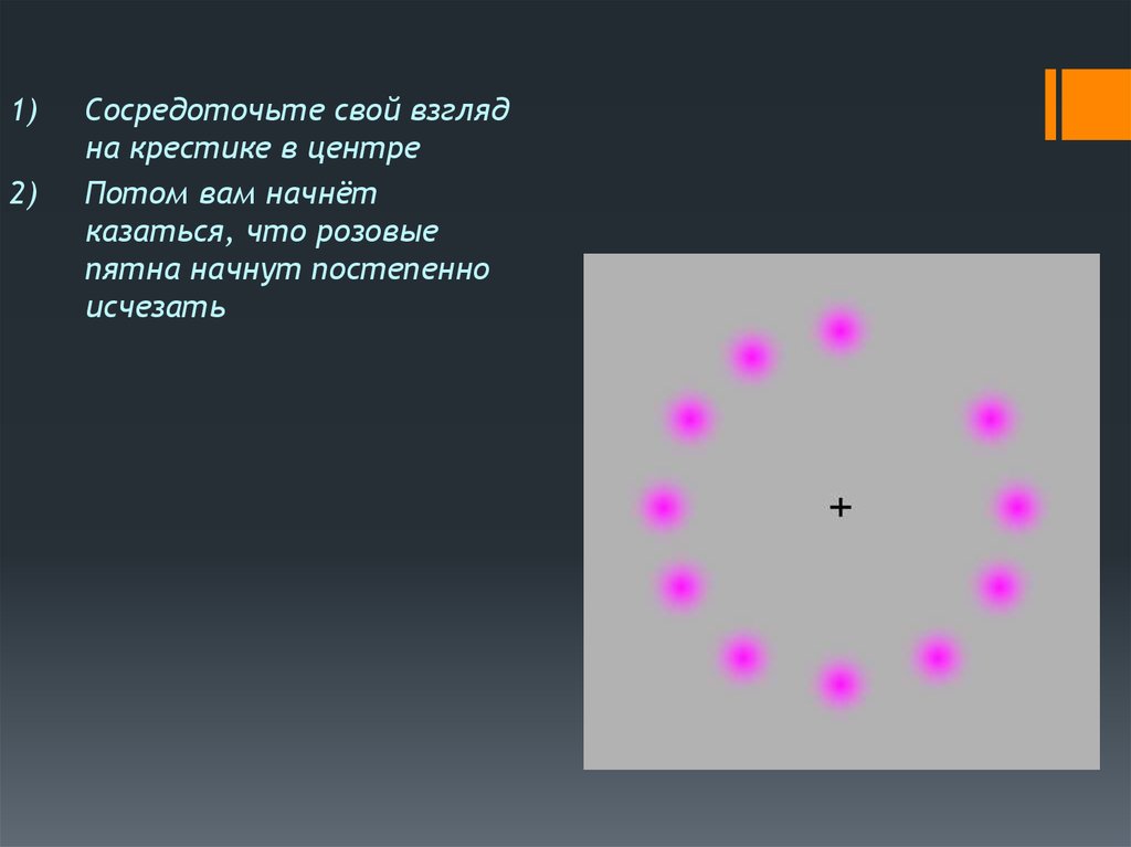 Постепенно исчез. Иллюзия розовых точек. Иллюзии сконцентрируйте свое внимание на точки. Иллюзия восприятия сконцентрируйте свой взгляд. Иллюзия 12 розовых пятен.