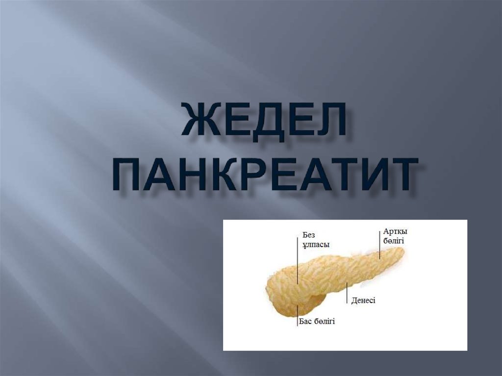 Панкреатит презентация на казахском thumbnail