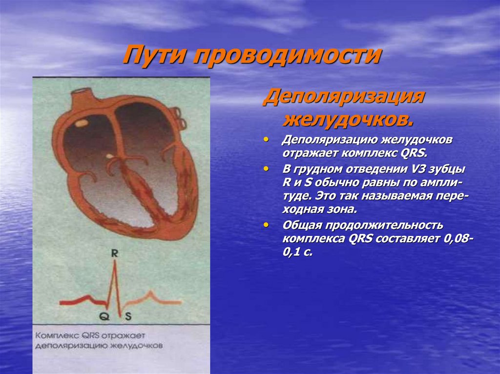 Изменение реполяризации левого желудочка. Деполяризация желудочков на ЭКГ. Деполяризация желудочков сердца что это. Деполяризацию желудочков отражает зубец. Процесс деполяризации желудочков.