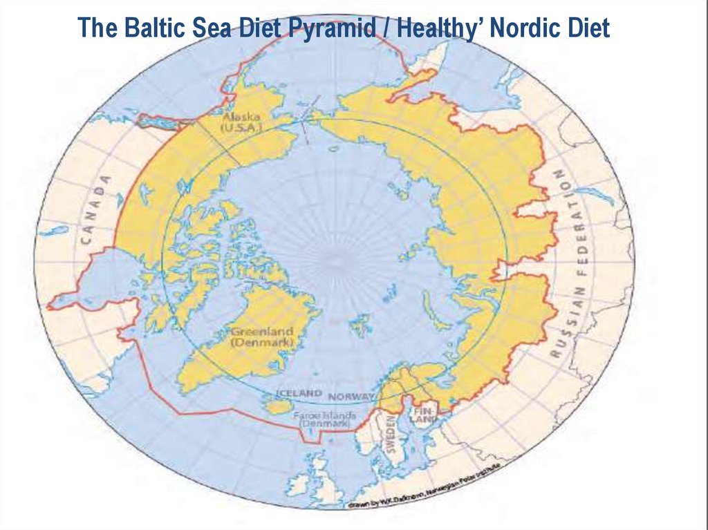 Nordic Diet Food Pyramid