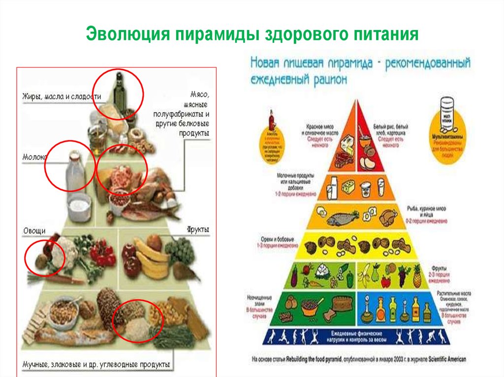 Эволюция пирамиды здорового питания