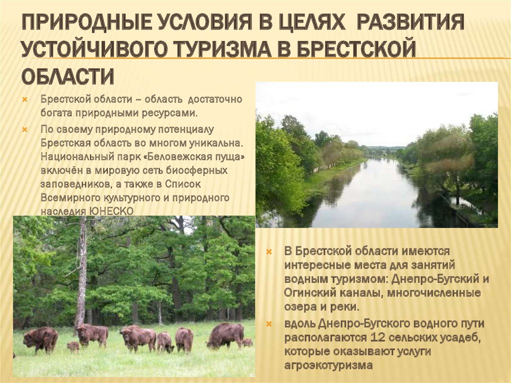 Природные условия в целях развития устойчивого туризма в Брестской области