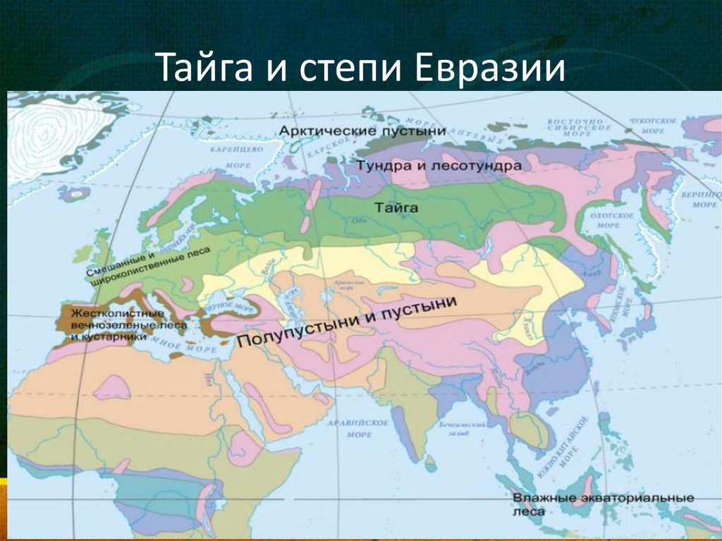 В каком поясе расположена большая часть евразии. Природные зоны Евразии субтропики пояса. Карта природных зон климатических поясов Евразии. Зоны арктического пояса природные зоны Евразии. Карта природные зоны Евразии 7 класс география.