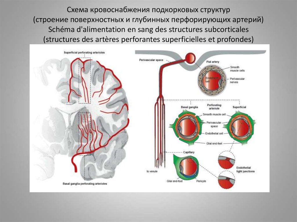 Нарушение кровотока