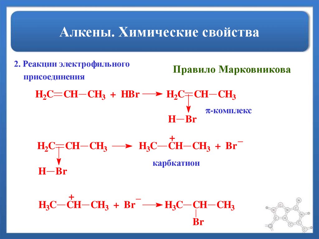 Алкены презентация егэ