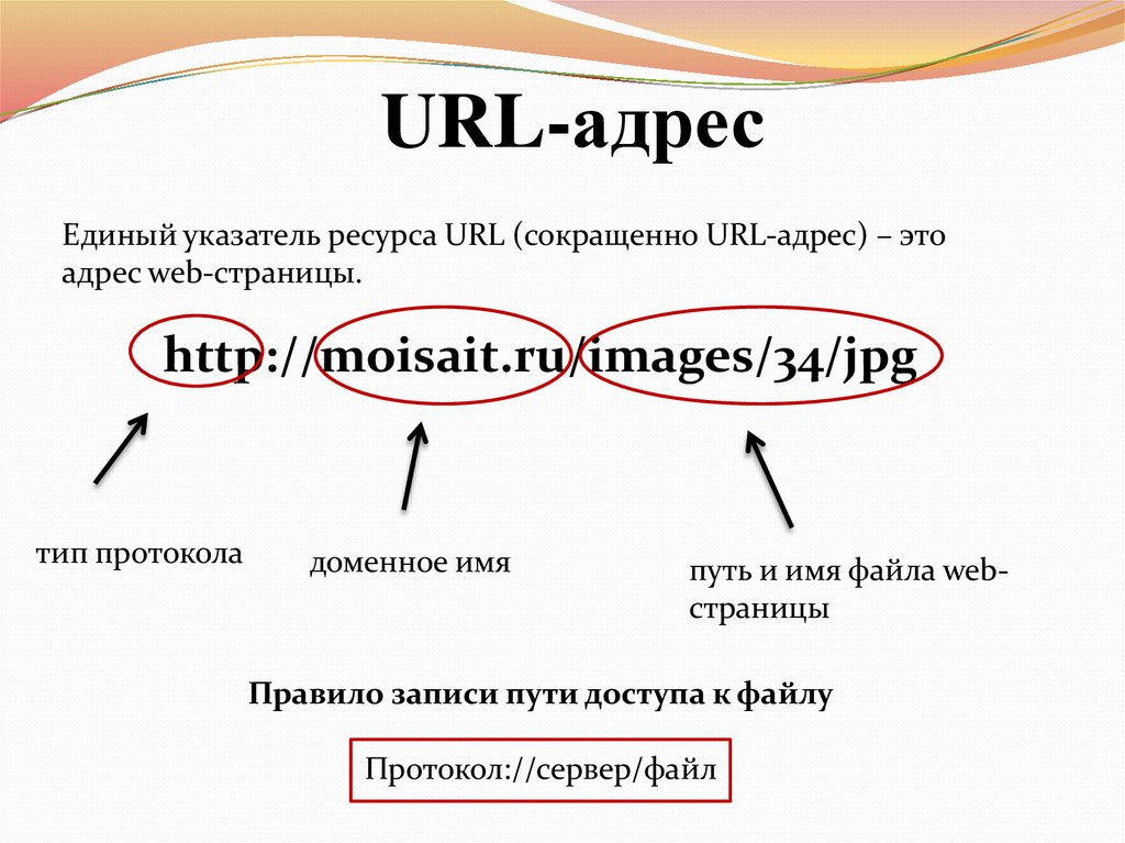 Web address is. URL-адрес web-страницы. Протокол домен порт путь.