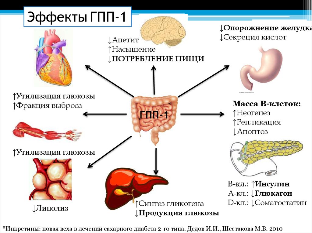 Нарушение гормонов у мужчин. Сахарный диабет презентация. Сахарный диабет актуальность проблемы. Инкретины. Сахарный диабет 2 типа потенциальные проблемы.