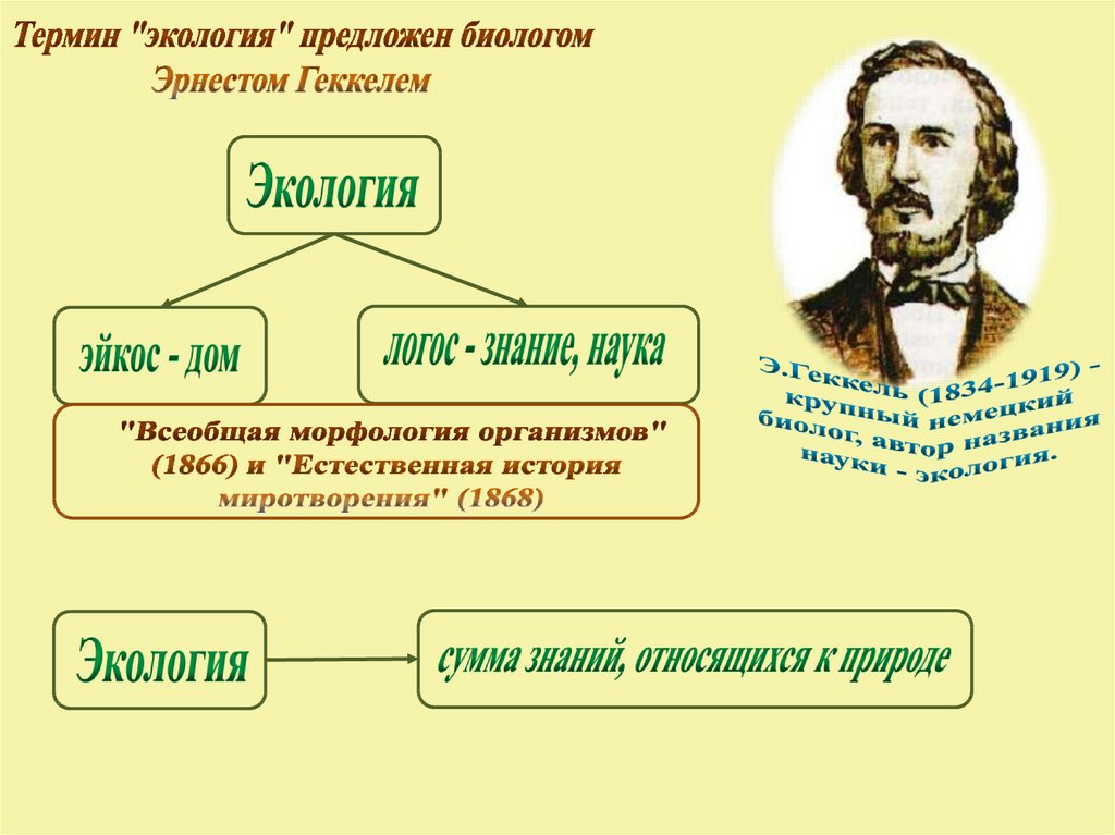 Предложен термин. Термин экология. Понятие экология. Термин экология по Геккелю. Термин экология предложил.