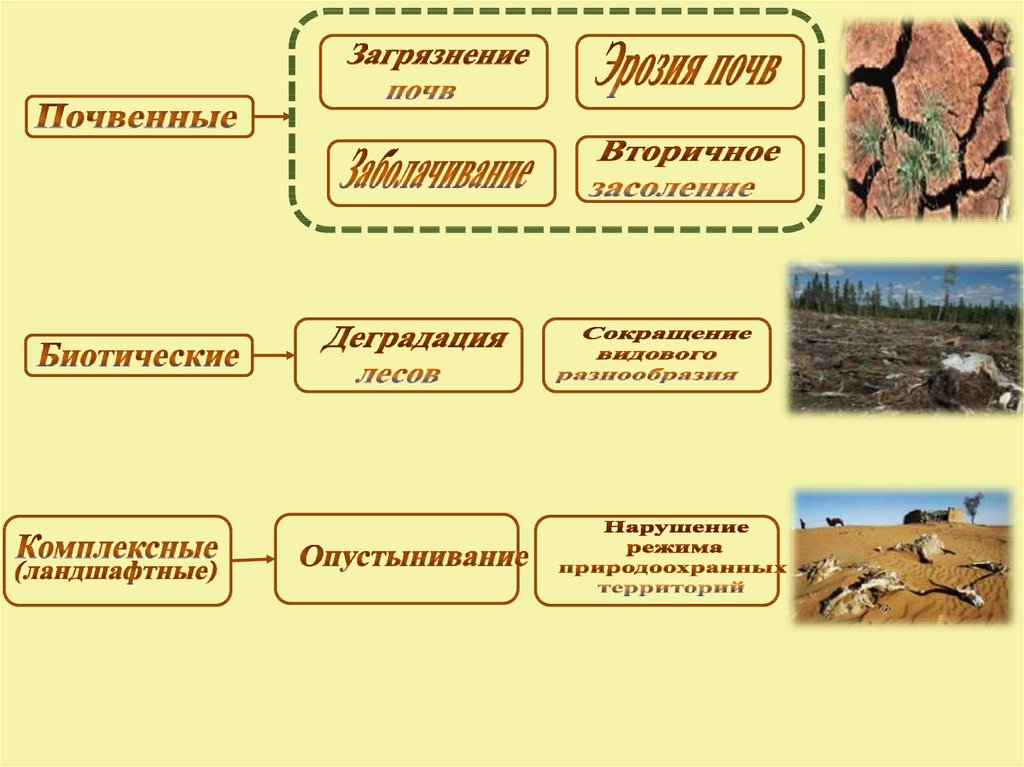 Схема эрозии почвы