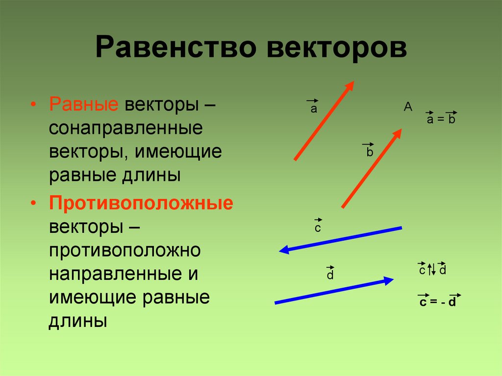 Вектор с и b противоположно направлены. Коллинеарные сонаправленные векторы. Векторы модуль вектора равенство векторов. Понятие равенства векторов. Сонаправленные коллинеарные противоположные вектора.