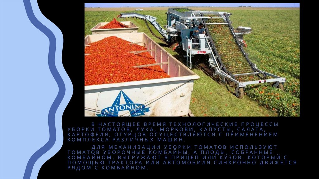 Механизация Уборки Овощных Культур Реферат