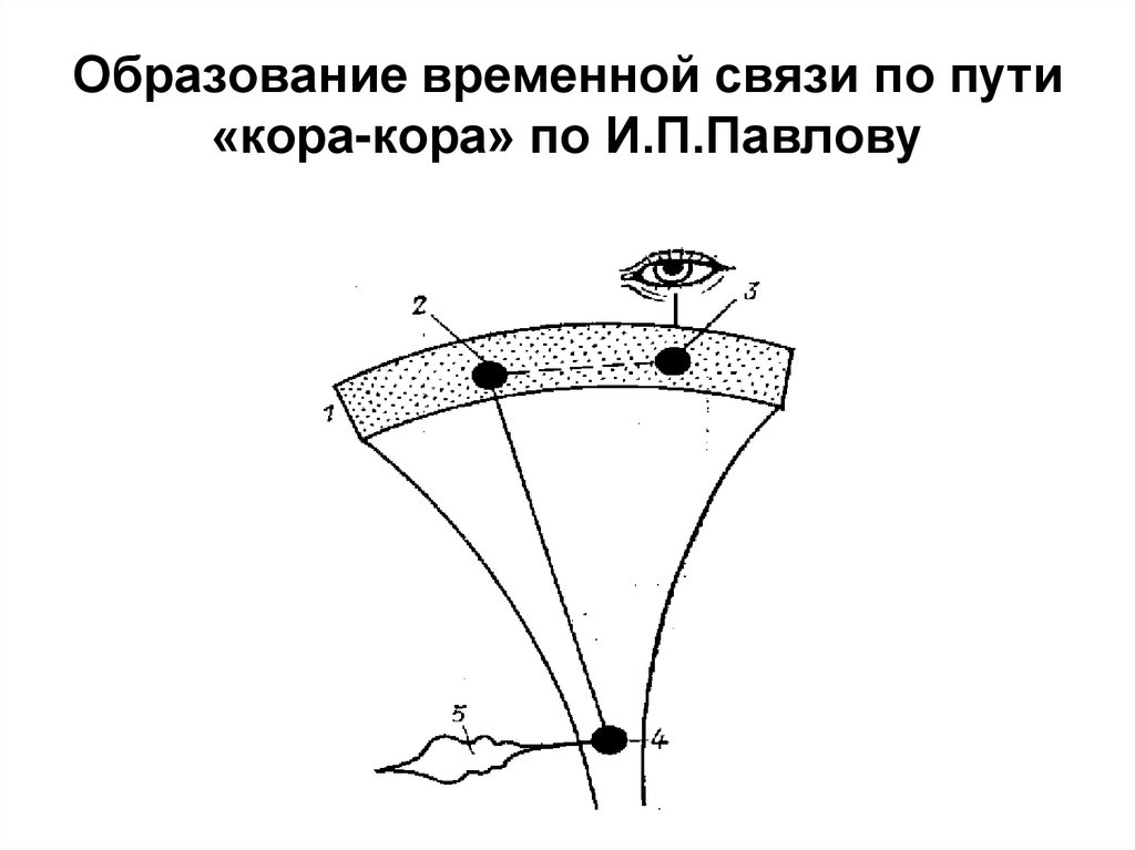 Временно образование