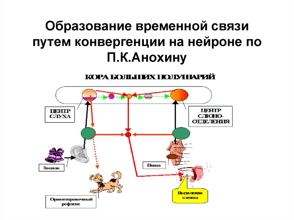 Временной связь